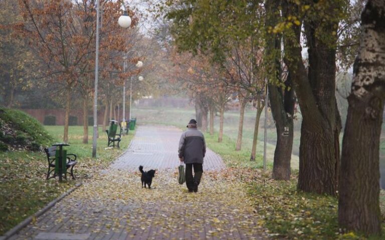 Kiedy przestaje obowiązywać stara ustawa emerytalna i co zmieni się dla Ciebie?