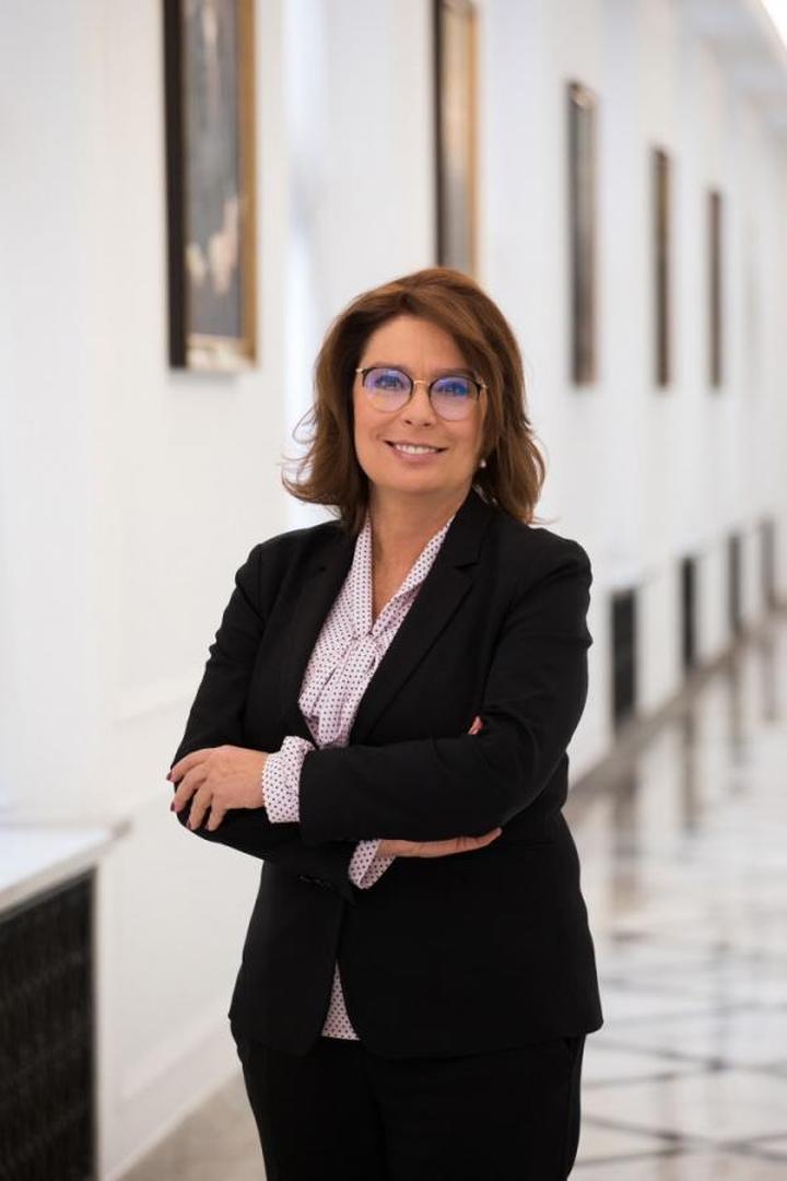 Marszałek senatu jako mediator polityczny