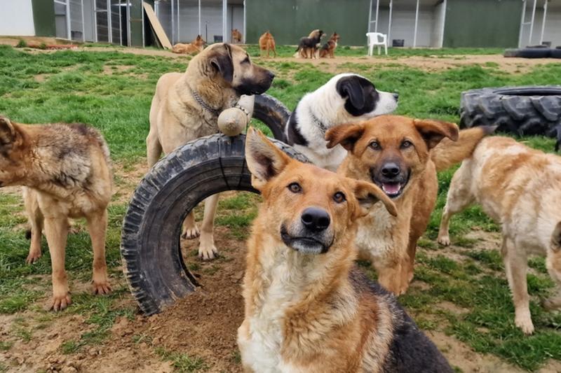 Nowelizacje kodeksu cywilnego