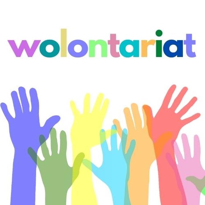 Prawa i obowiązki wolontariuszy