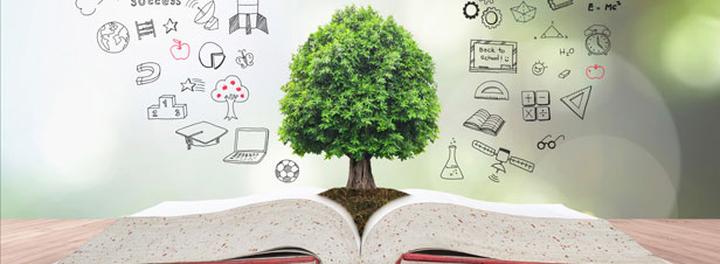 Kluczowe zmiany w ustawie o ochronie przyrody – znaczenie jednolitego tekstu dla naszej planety