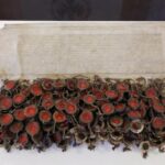 Zrozumienie wydarzeń: jakie były przyczyny uchwalenia aktu konfederacji warszawskiej?