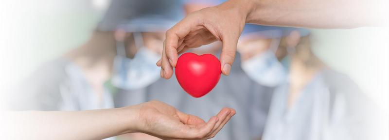 Rola koordynatorów transplantacyjnych