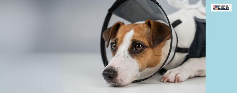 Finansowanie programu 500+