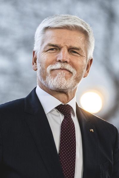 Czechy polityka