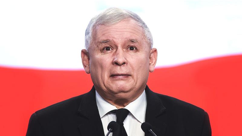 Polityka i zwierzęta