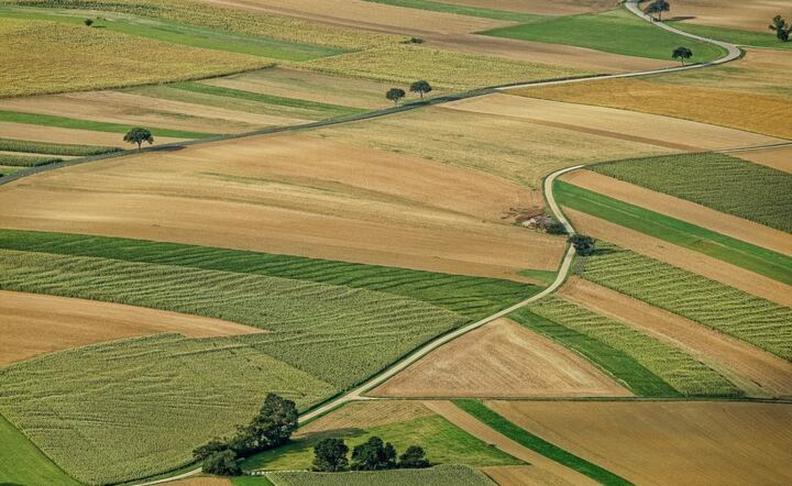 Prawo pierwokupu gruntów rolnych