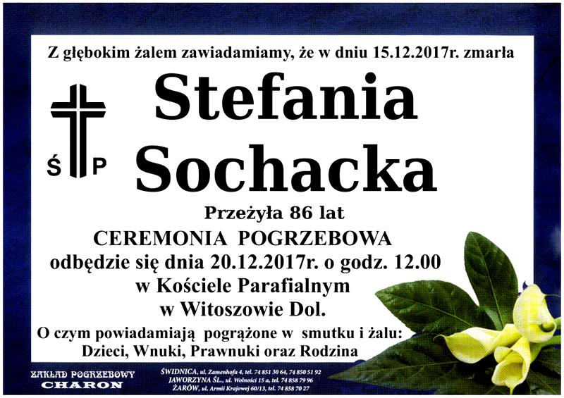 Życie teściowej polityka