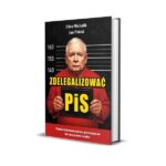 Do czego prowadzi PiS? Najważniejsze skutki dla Polski i społeczeństwa