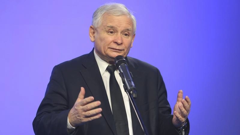Ile kotów ma Jarosław Kaczyński? Liczba pupili i ciekawostki