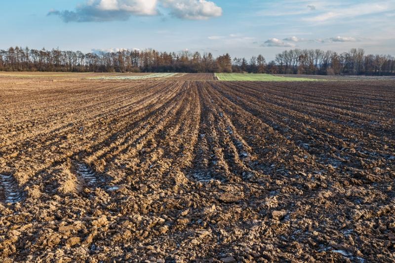 Ustawa o kształtowaniu ustroju rolnego – co zmienia dla właścicieli gruntów?